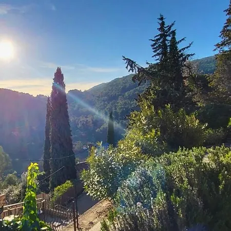 Maison Provencale De - Les Aloes Holiday home